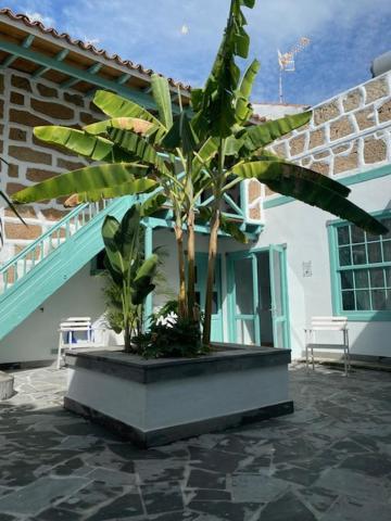גרנדילה דה אבונה Hacienda De Las Indias, Cali מראה חיצוני תמונה