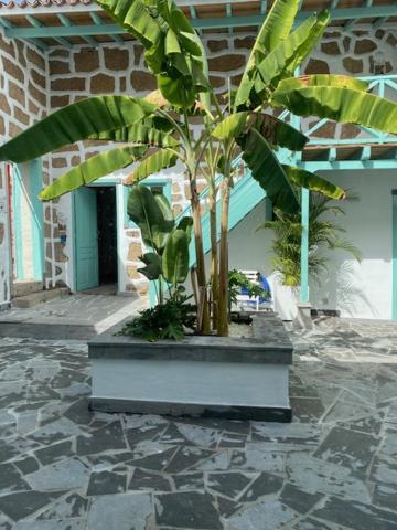 גרנדילה דה אבונה Hacienda De Las Indias, Cali מראה חיצוני תמונה